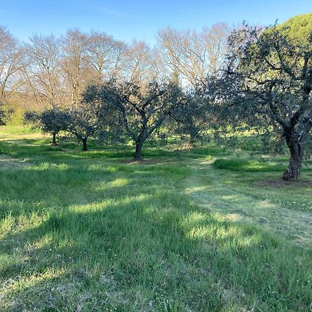 Casal Ponziani Per Civita E Dintorni Villa Баньореджо Екстериор снимка